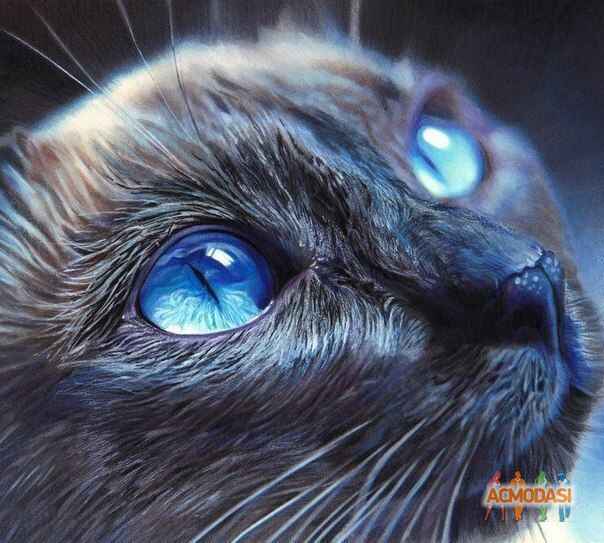 Диана Максимовна Нежкова фото №939139. Загружено 15 Октября 2015