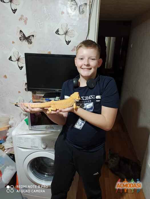 Арсений  Запорожец фото №1610881. Загружено 20 Июня 2020