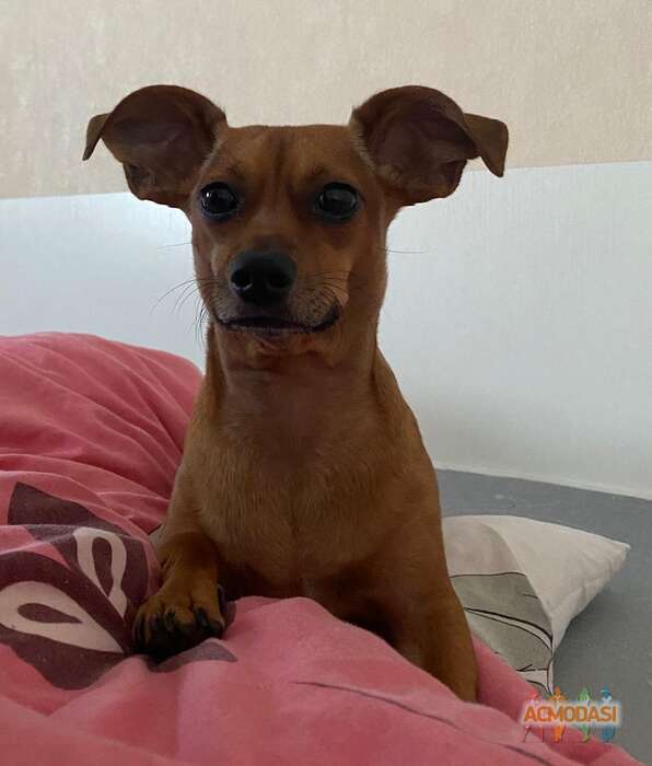 Ольга  Вангулова фото №1841537. Загружено 09 Февраля 2023