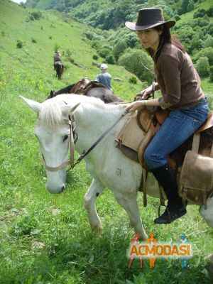 Nadinka  Овчинник фото №349399. Загружено 18 Февраля 2013