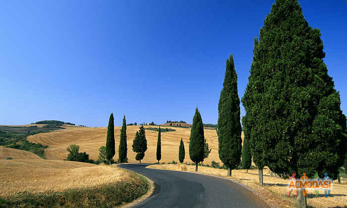 Андрей Николаевич Старостин фото №268980. Загружено 10 Октября 2012