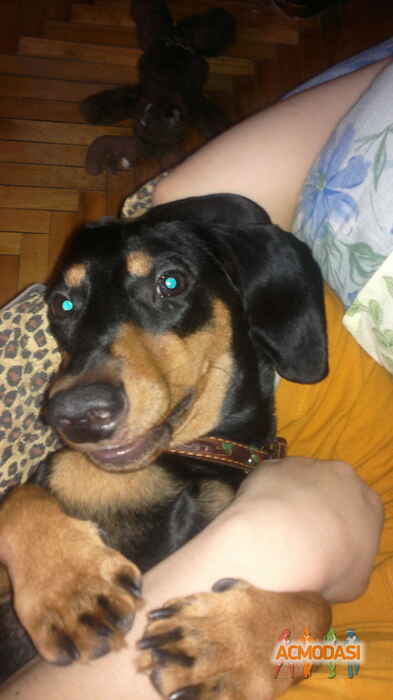 Ирина  Викторовна фото №644460. Загружено 29 Апреля 2014