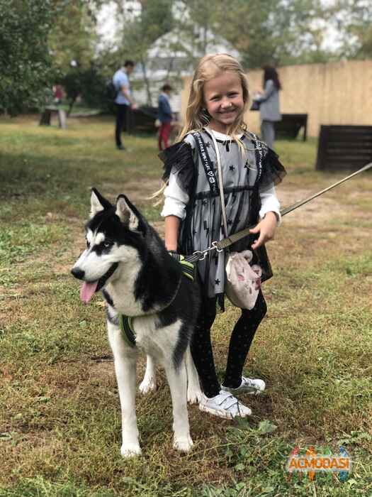 Есения  Дичкина фото №1509346. Загружено 09 Сентября 2019