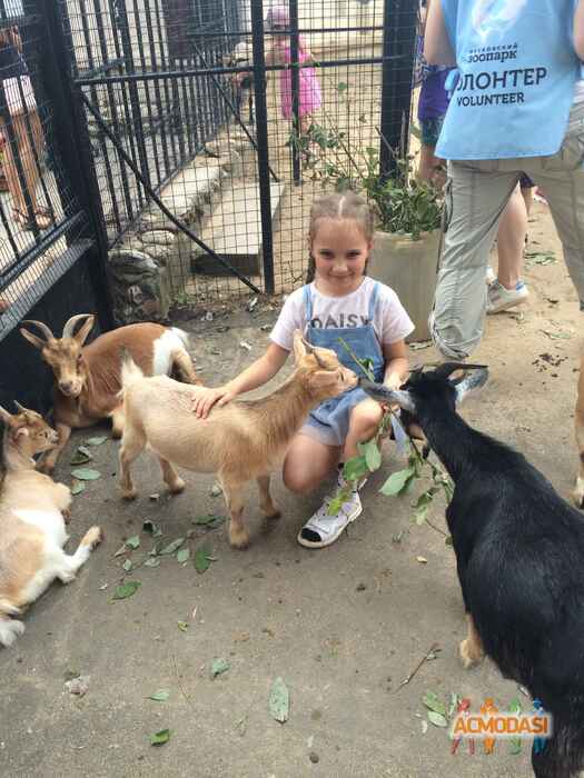 Полина Витальевна Сухорукова фото №1300300. Загружено 16 Марта 2018