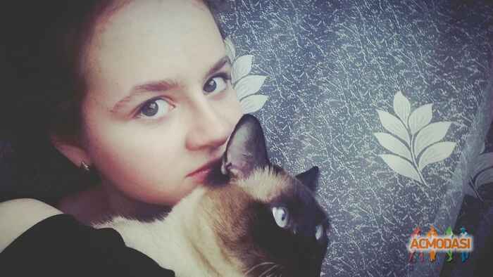Елена  Сергеевна фото №1000275. Загружено 21 Февраля 2016