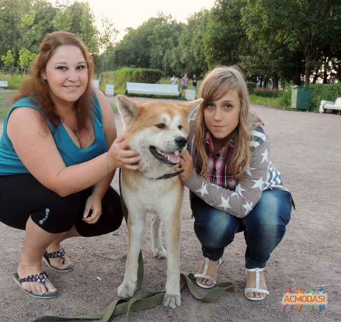 Кира  Лучкина фото №729559. Загружено 12 Сентября 2014