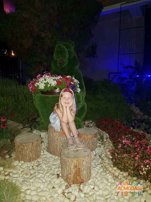 Анна  Волдаева фото №1382565. Загружено 12 Октября 2018