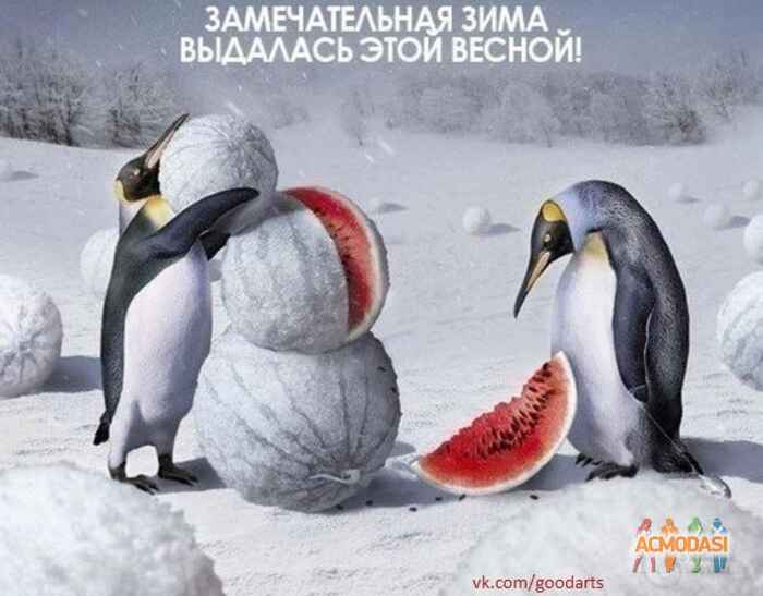 Ivan Ivanovich Ivanov фото №185970. Загружено 17 Апреля 2012