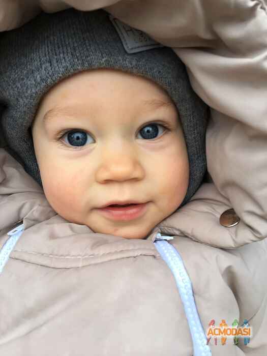 Лев   фото №1586673. Загружено 25 Марта 2020