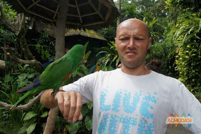 Vyacheslav  Anokhin фото №1442787. Загружено 03 Апреля 2019