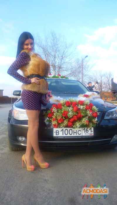 Анна Олеговна Харина фото №291857. Загружено 17 Ноября 2012