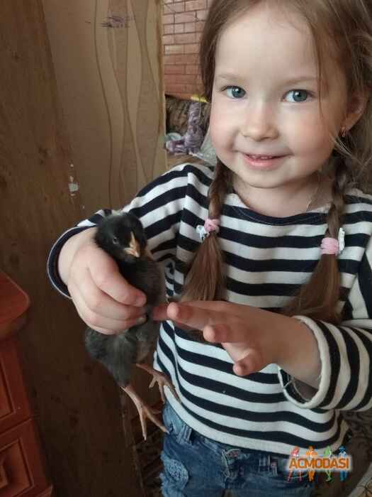 Есения Руслановна Сахоненко фото №1455679. Загружено 09 Мая 2019