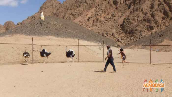 Екатерина Максимовна Иванова фото №687189. Загружено 09 Июля 2014