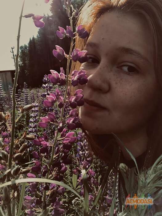 Полина  Андрианова фото №1816059. Загружено 25 Августа 2022