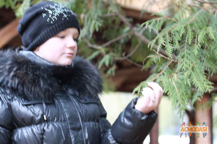 Елена Викторовна Прийма фото №544350. Загружено 30 Ноября 2013