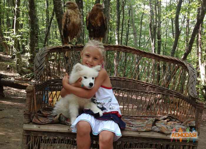 Алёна Александровна Мужиловская фото №643522. Загружено 27 Апреля 2014