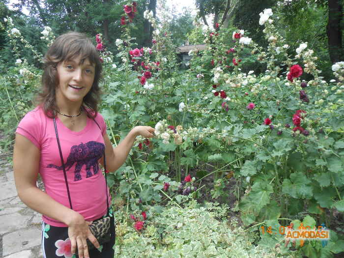 Яна Владимерновна Пелых фото №911292. Загружено 24 Августа 2015