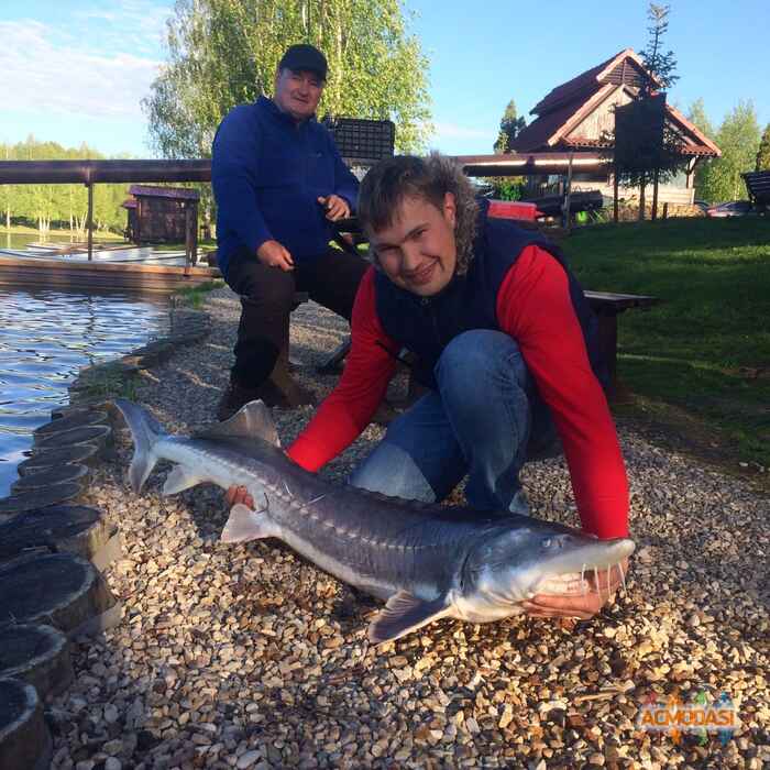 Сергей Сергеевич Пославский фото №1307776. Загружено 04 Апреля 2018