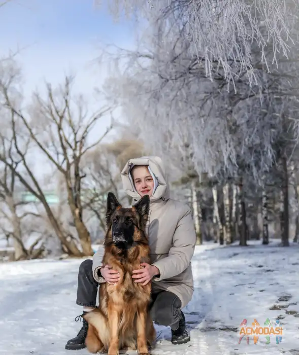 Ver  Rep фото №1937189. Загружено 24 Сентября 2025