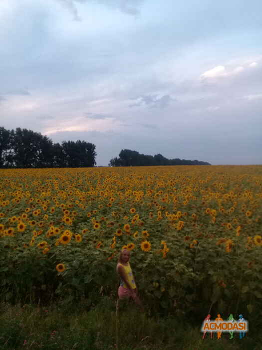 Варвара  Никулина фото №1500641. Загружено 17 Августа 2019