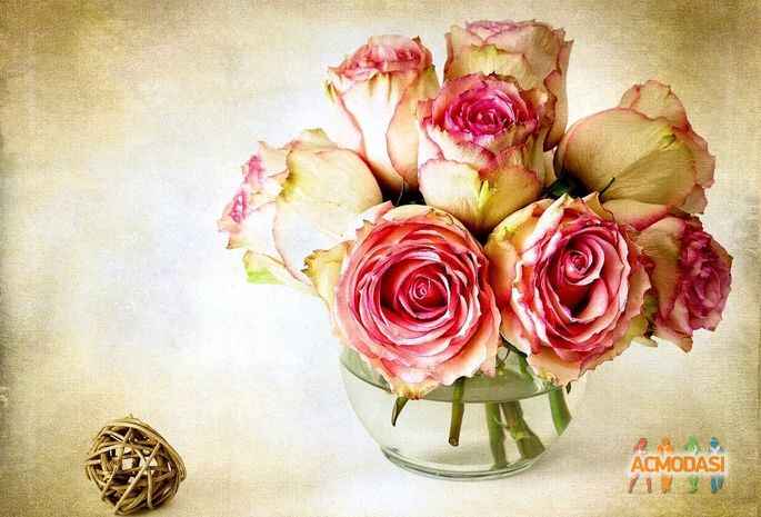 Masha Smile Hale фото №601100. Загружено 20 Февраля 2014