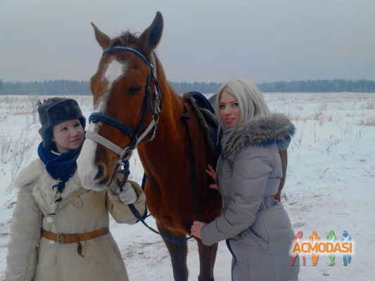 Юлия Олеговна Нарицина фото №343761. Загружено 09 Февраля 2013
