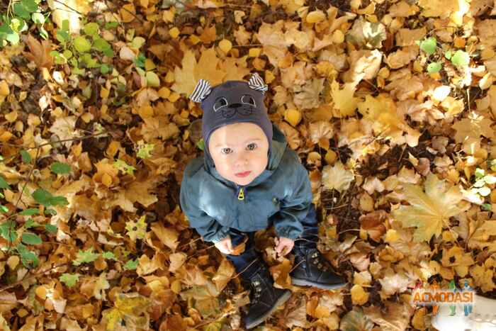 Вадим Алексеевич Босско фото №1398483. Загружено 28 Ноября 2018