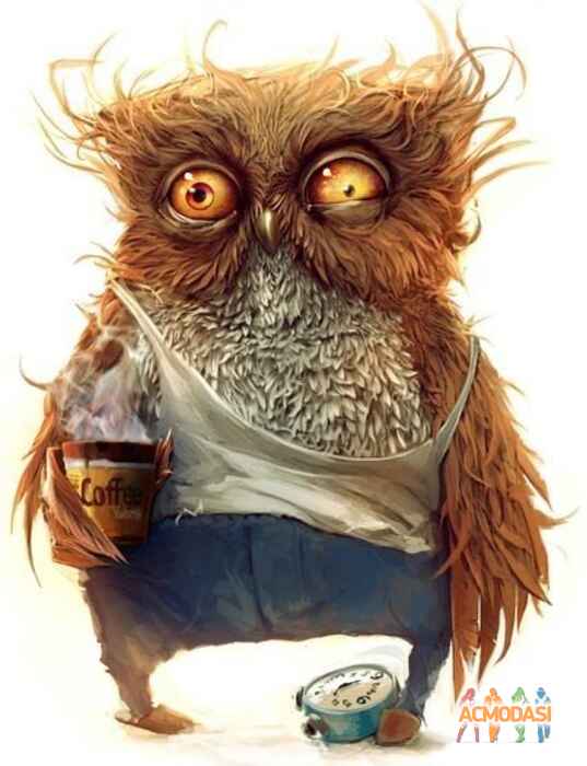 София  Анатольевна фото №243246. Загружено 24 Августа 2012