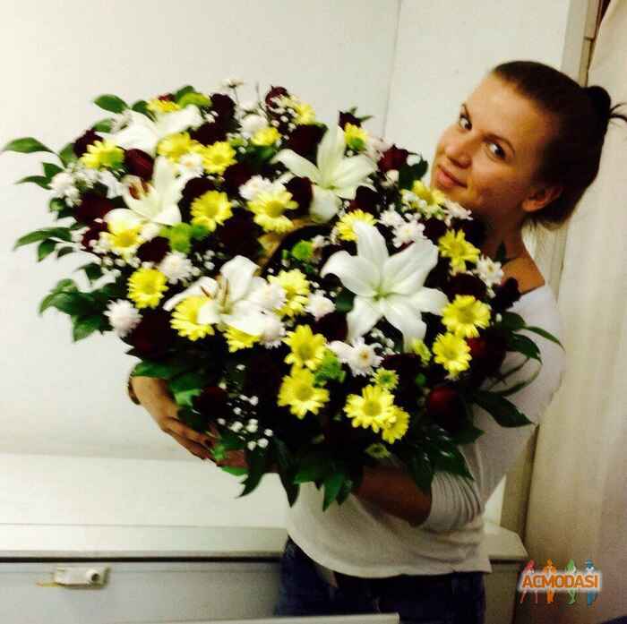 Алена Сергеевна Андрианова фото №973587. Загружено 03 Января 2016