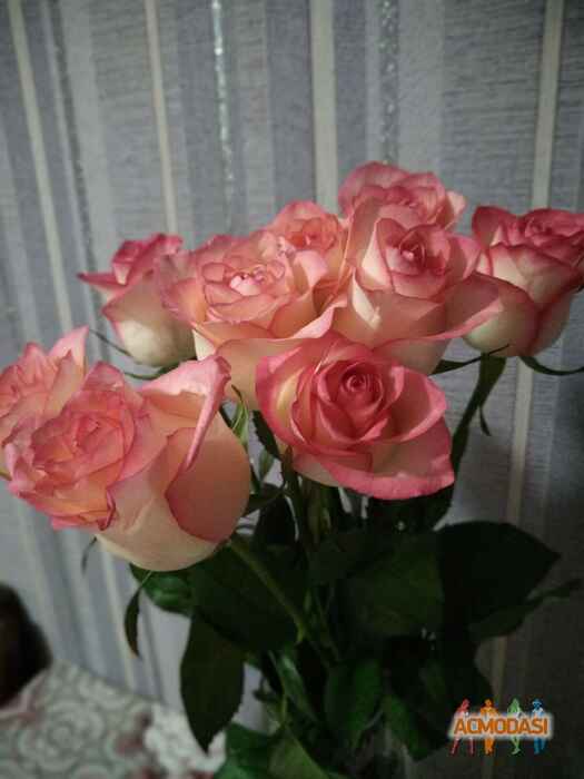 Татьяна Александровна Ткачук фото №1443066. Загружено 03 Апреля 2019