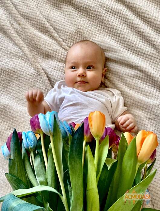 Таисия  Литт фото №1786169. Загружено 29 Марта 2022