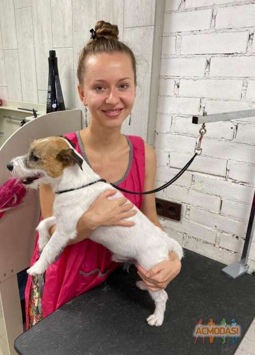 Анастасия  Аверичева фото №1832575. Загружено 07 Декабря 2022