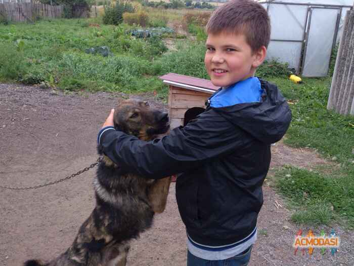 Алексей Пирязев  фото №1091630. Загружено 30 Сентября 2016