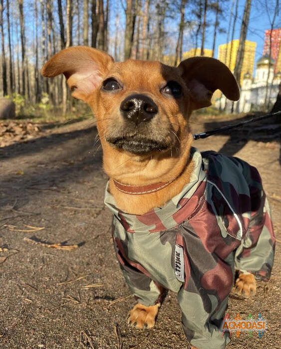 Ольга  Вангулова фото №1841536. Загружено 09 Февраля 2023