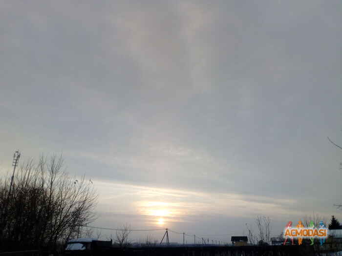 Элла   фото №1316070. Загружено 29 Апреля 2018