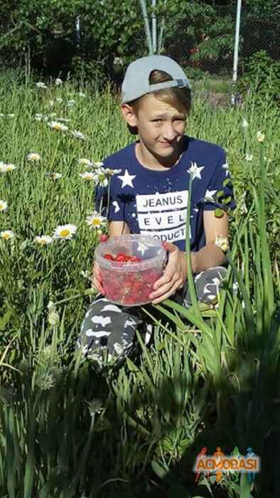 Вадим Андреевич Подгорнов фото №1430829. Загружено 03 Марта 2019