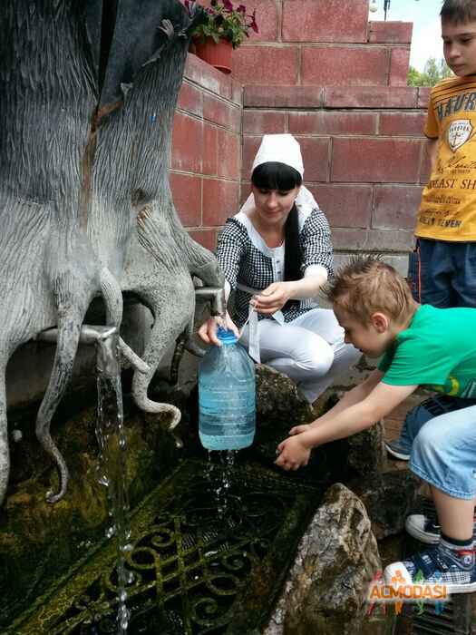 Елена  Демишкевич фото №884019. Загружено 09 Июля 2015