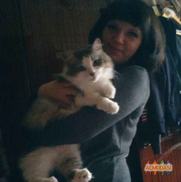 Елена   фото №616109. Загружено 16 Марта 2014