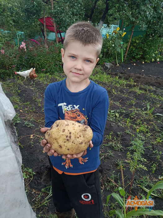 Кирилл Александрович Беляев фото №1528795. Загружено 20 Октября 2019