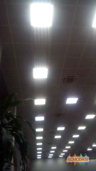 Тренер Даниил Ильич  фото №1539850. Загружено 15 Ноября 2019