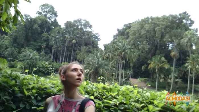 Елизавета  Логинова фото №902555. Загружено 10 Августа 2015