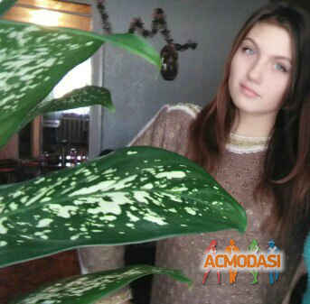 Yulia  Rifert фото №1004941. Загружено 02 Марта 2016