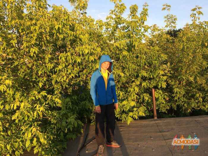 Гордей Ильич Скороходов фото №1053253. Загружено 01 Июля 2016