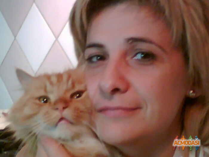 Елена Ивановна Плотникова фото №553127. Загружено 16 Декабря 2013