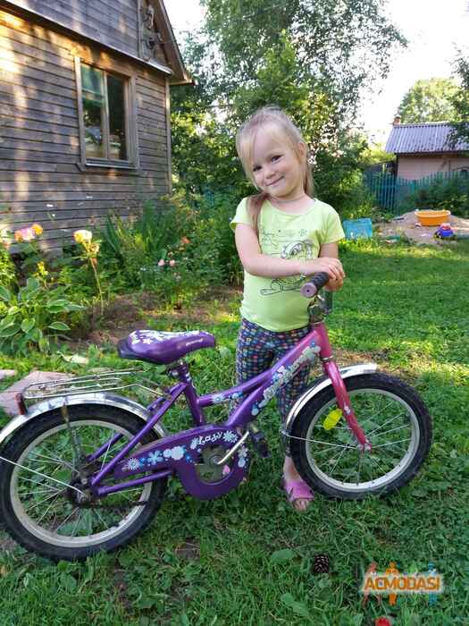 София Михайловна Королева фото №1216199. Загружено 19 Августа 2017