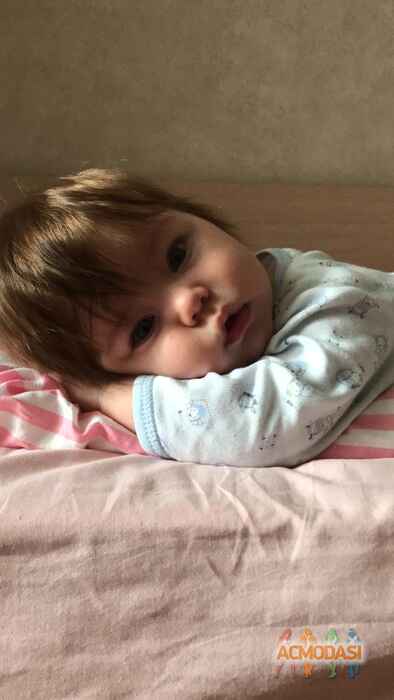 Михаил   фото №1634472. Загружено 01 Сентября 2020