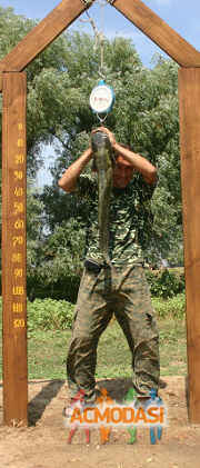 Баулин  Дмитрий фото №554919. Загружено 18 Декабря 2013