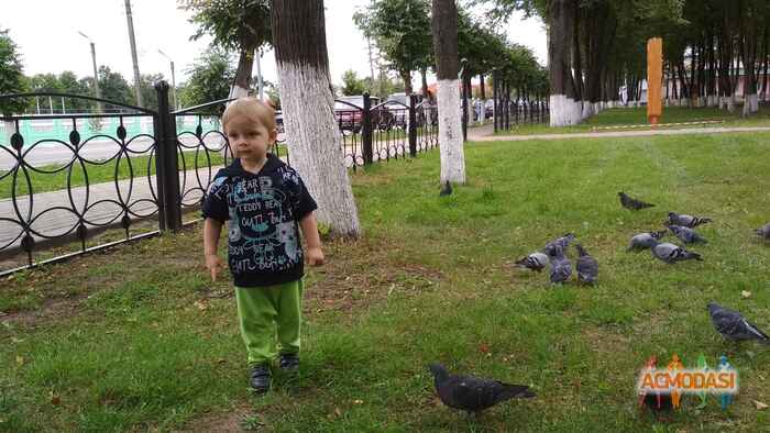 Екатерина Михайловна Зыбина фото №1486827. Загружено 17 Июля 2019