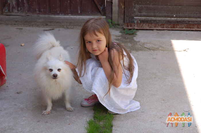 Эрика   фото №548365. Загружено 07 Декабря 2013