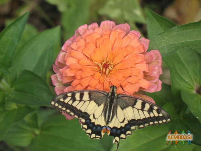 Светлана Павловна Попова фото №289950. Загружено 14 Ноября 2012